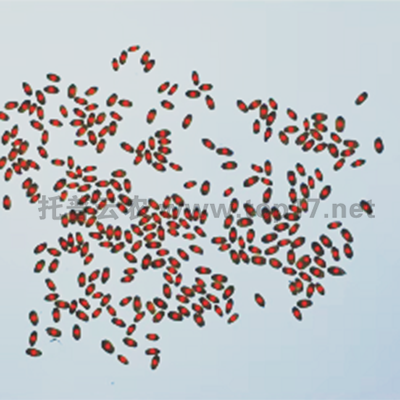 С����(sh��)��