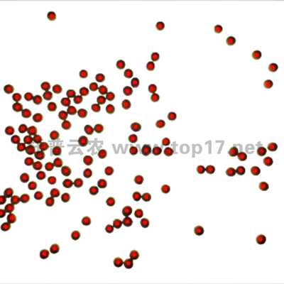 �󶹔�(sh��)��