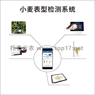 ���ױ��͙z�yϵ�y(t��ng) TPY-BX-1