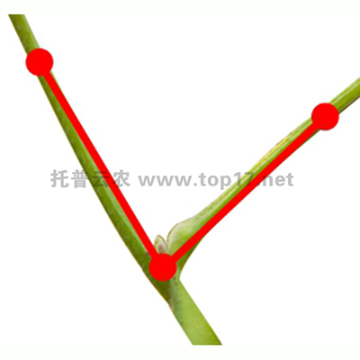 �󶹊A�ǜy(c��)��