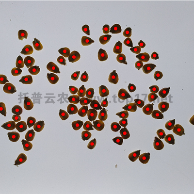 ��(sh��)������