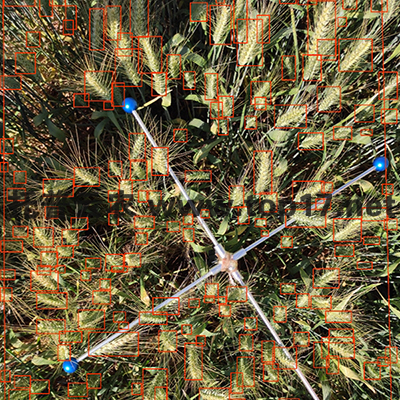 ���딵(sh��)�y��