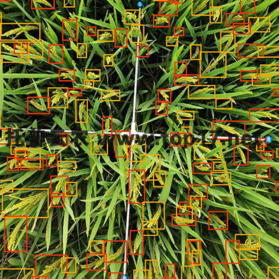 ˮ�����딵(sh��)�y���x