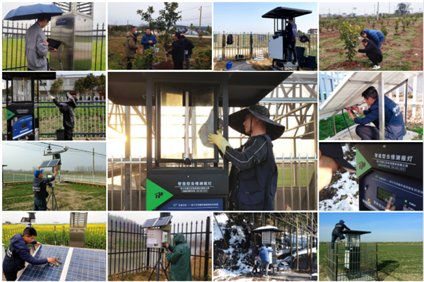 Ѳ�z�����H��Ѳ�����ڙz