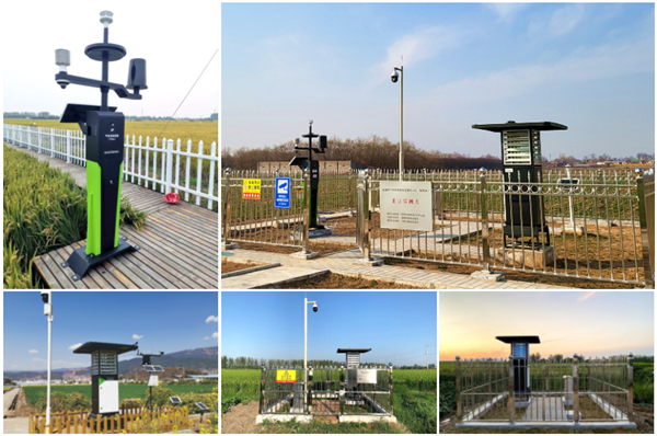 ���ķ���(w��)��ֻ���Ñ�ʮ�֝M��