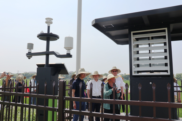 ���^�ߘ�(bi��o)��(zh��n)�r(n��ng)�������ʔ�(sh��)�ֻ���(y��ng)�È������㽭�l(xi��ng)����X�������r(n��ng)��(y��u)Ʒ����瑪(y��ng)�È���