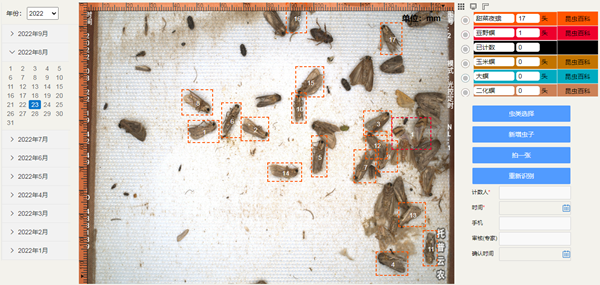 ���ҹ�������