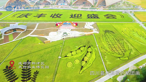 �Ї�(gu��)�r(n��ng)���S�չ�(ji��)����(hu��)��(ch��ng)���ĈD