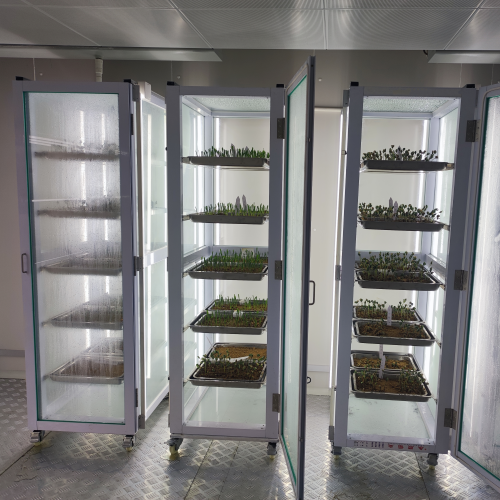 �l(f��)ѿ�� 