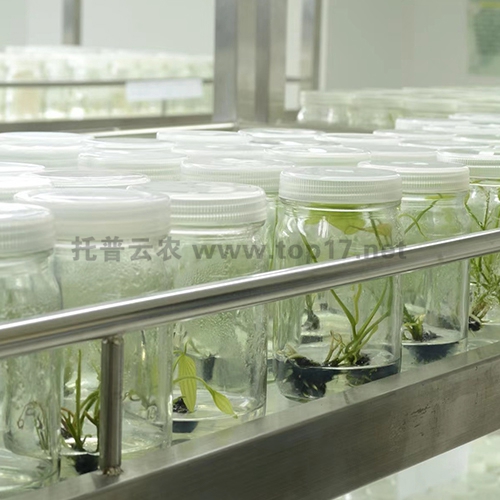 ԇ���籣���(k��) ����