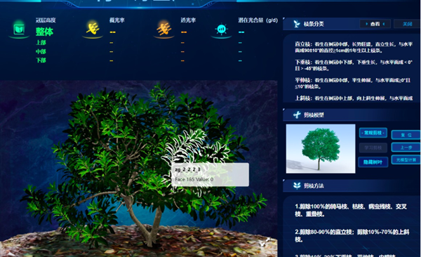 ���ơ��ϷN�w��÷�䣬�r(n��ng)�������B(y��ng)��÷