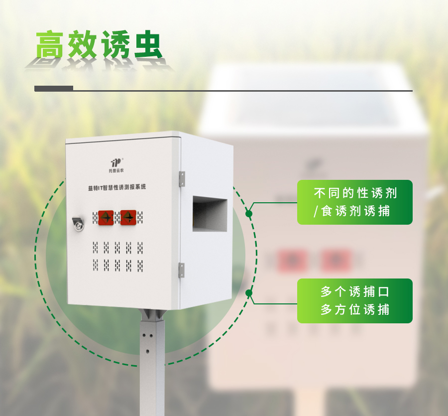 TPXY-SA4.0����IT�ǻ����T�y(c��)��(b��o)ϵ�y(t��ng)