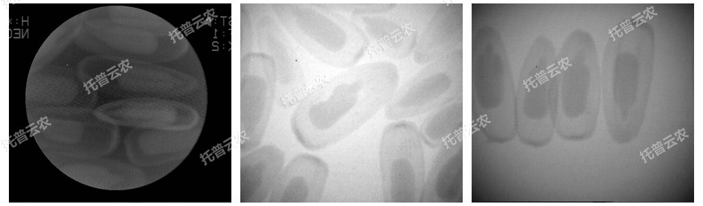 ��X�r(n��ng)��X��C(j��)/��X�N��X��C(j��)