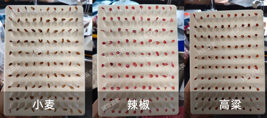 TP-SZC-50�๦����Ք�(sh��)�N�ô��_(t��i)