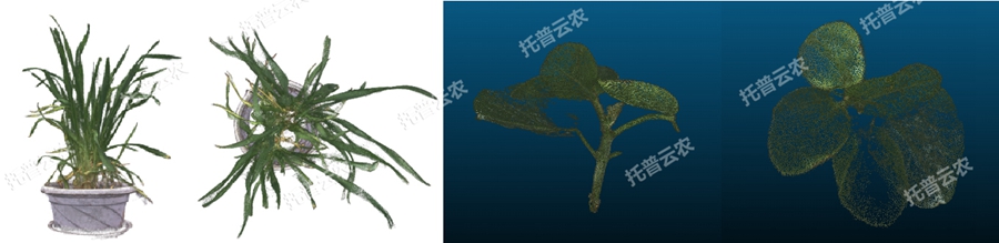 �����͸�ͨ��ֲ����Ͳɼ�����ƽ�_-3�S