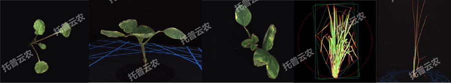 �澳ģ�M��ֲ�����L�O(ji��n)�yƽ�_-2�S