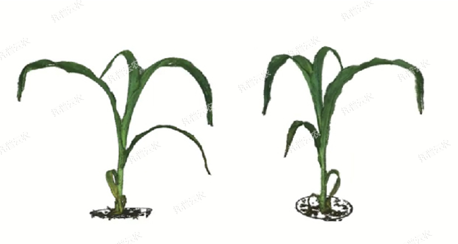 �澳ģ�M��ֲ�����L�O(ji��n)�yƽ�_-3�S