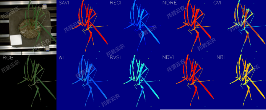 �澳ģ�M��ֲ�����L�O(ji��n)�yƽ�_-�߹��V�����cָ��(sh��)�����Y��