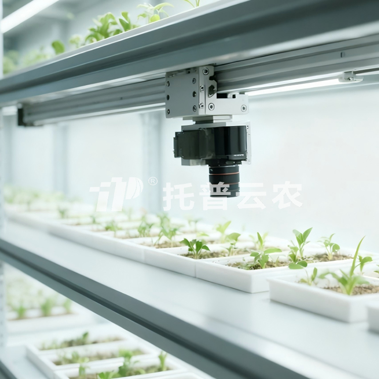 �˹������ֲ����ͱO(ji��n)�yϵ�y(t��ng) TP-PlantPhy