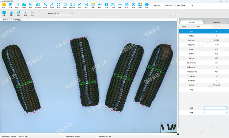  �����׹���y(c��)��