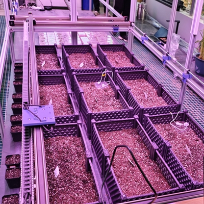 �҃�(n��i)�N���Ȱl(f��)���ͱO(ji��n)�yϵ�y(t��ng) TPN-SeedPhy