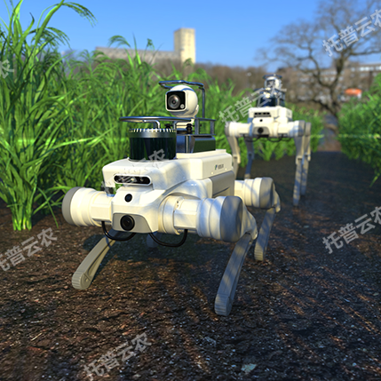 ֲ��Ѳ�z�C(j��)���� TP-ROB-01